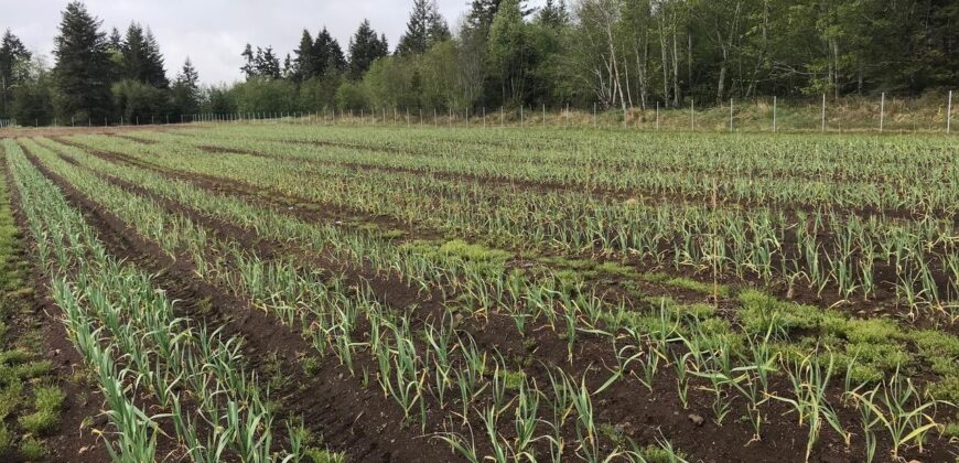 Vancouver Island Winery & Vineyard For Sale – SOLD