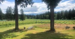 Vancouver Island Winery & Vineyard For Sale – SOLD