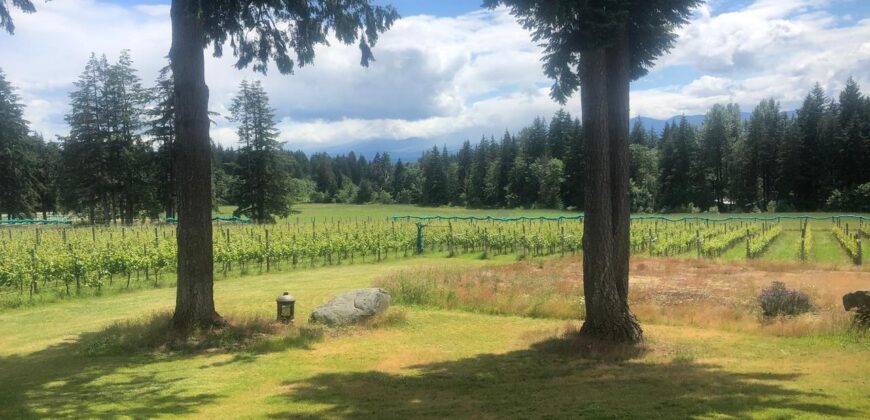 Vancouver Island Winery & Vineyard For Sale – SOLD