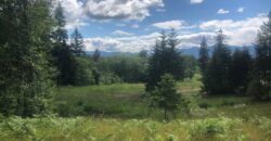 Vancouver Island Winery & Vineyard For Sale – SOLD