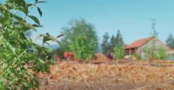 Vancouver Island Winery & Vineyard For Sale – SOLD
