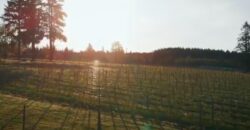Vancouver Island Winery & Vineyard For Sale – SOLD