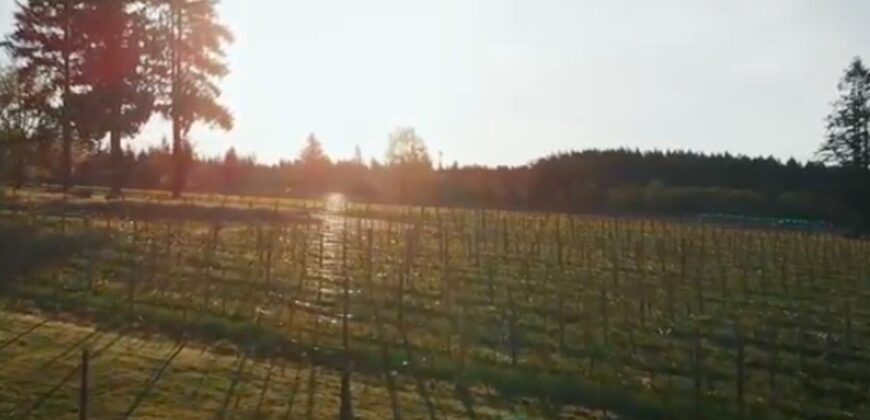 Vancouver Island Winery & Vineyard For Sale – SOLD