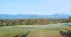 Vancouver Island Winery & Vineyard For Sale – SOLD