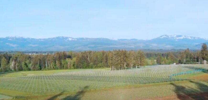Vancouver Island Winery & Vineyard For Sale – SOLD