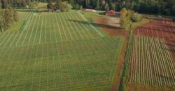 Vancouver Island Winery & Vineyard For Sale – SOLD
