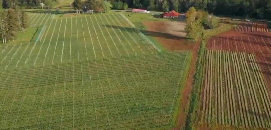 Vancouver Island Winery & Vineyard For Sale – SOLD