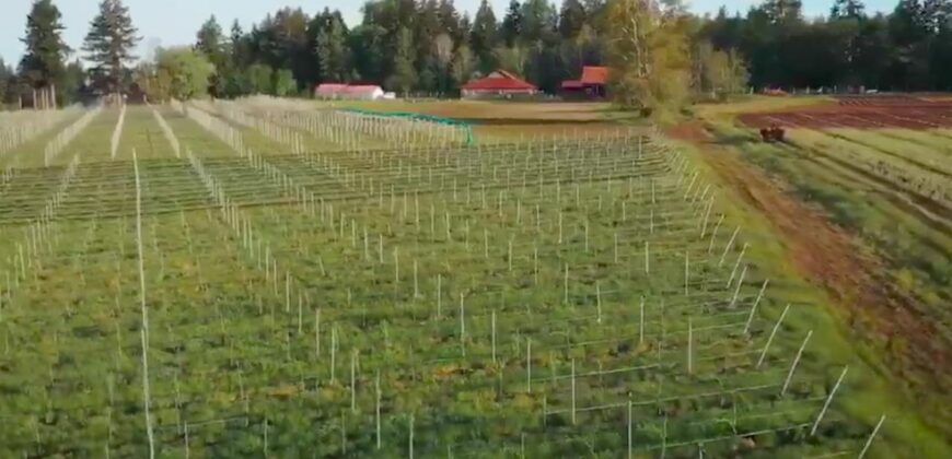 Vancouver Island Winery & Vineyard For Sale – SOLD