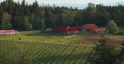 Vancouver Island Winery & Vineyard For Sale – SOLD