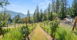 Luxury Wine Country Home For Sale w/ Boutique Vineyard