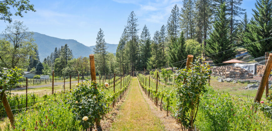 Luxury Wine Country Home For Sale w/ Boutique Vineyard