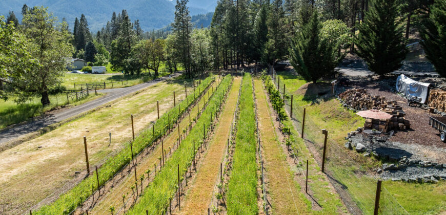 Luxury Wine Country Home For Sale w/ Boutique Vineyard