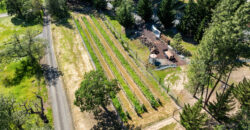 Luxury Wine Country Home For Sale w/ Boutique Vineyard