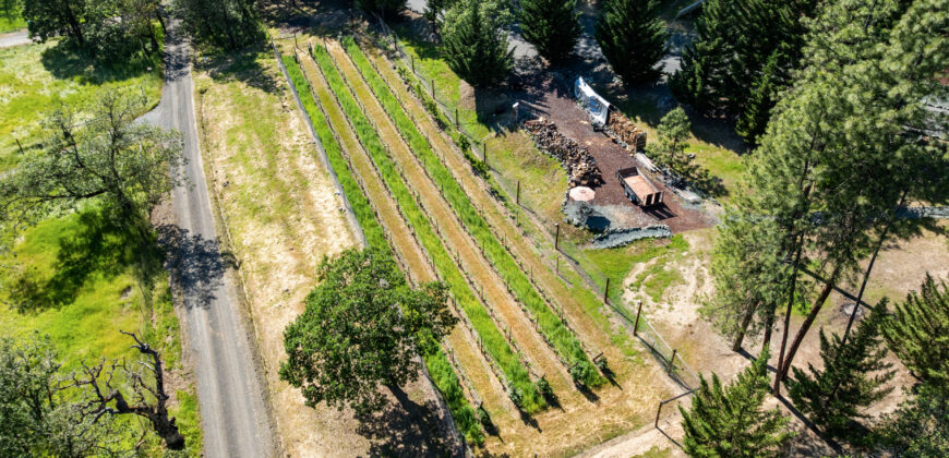 Luxury Wine Country Home For Sale w/ Boutique Vineyard