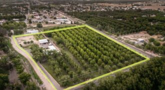 Custom-Built Adobe Home and Pecan Orchard on 6 Acres in Las Cruces, New Mexico