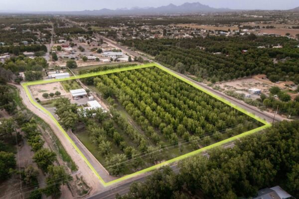 Custom-Built Adobe Home and Pecan Orchard on 6 Acres in Las Cruces, New Mexico