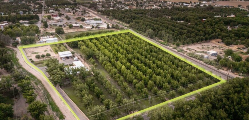 Custom-Built Adobe Home and Pecan Orchard on 6 Acres in Las Cruces, New Mexico