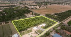 Custom-Built Adobe Home and Pecan Orchard on 6 Acres in Las Cruces, New Mexico
