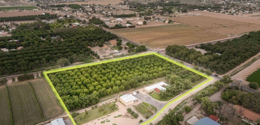 Custom-Built Adobe Home and Pecan Orchard on 6 Acres in Las Cruces, New Mexico