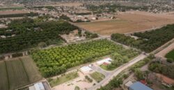 Custom-Built Adobe Home and Pecan Orchard on 6 Acres in Las Cruces, New Mexico