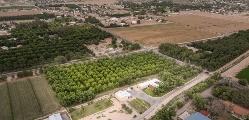 Custom-Built Adobe Home and Pecan Orchard on 6 Acres in Las Cruces, New Mexico