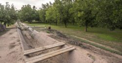 Custom-Built Adobe Home and Pecan Orchard on 6 Acres in Las Cruces, New Mexico
