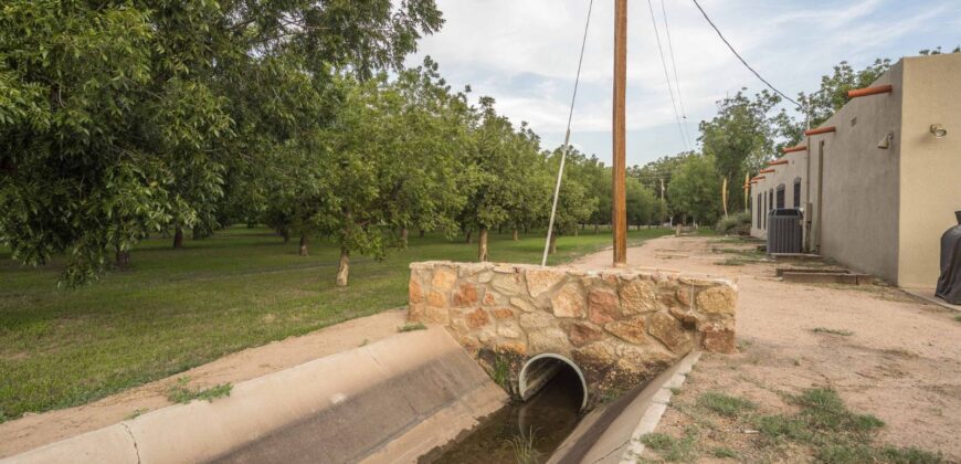 Custom-Built Adobe Home and Pecan Orchard on 6 Acres in Las Cruces, New Mexico