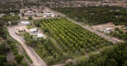 Custom-Built Adobe Home and Pecan Orchard on 6 Acres in Las Cruces, New Mexico