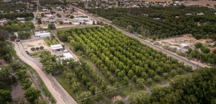 Custom-Built Adobe Home and Pecan Orchard on 6 Acres in Las Cruces, New Mexico