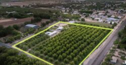Custom-Built Adobe Home and Pecan Orchard on 6 Acres in Las Cruces, New Mexico