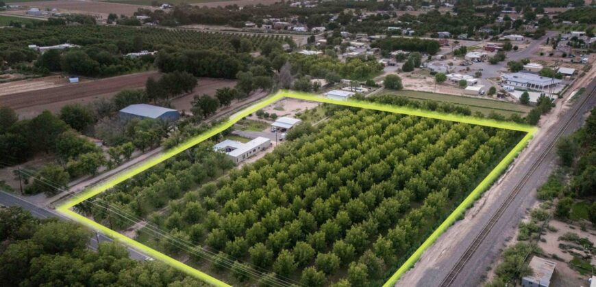 Custom-Built Adobe Home and Pecan Orchard on 6 Acres in Las Cruces, New Mexico
