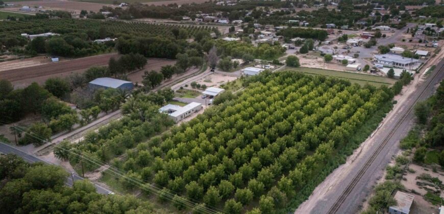 Custom-Built Adobe Home and Pecan Orchard on 6 Acres in Las Cruces, New Mexico