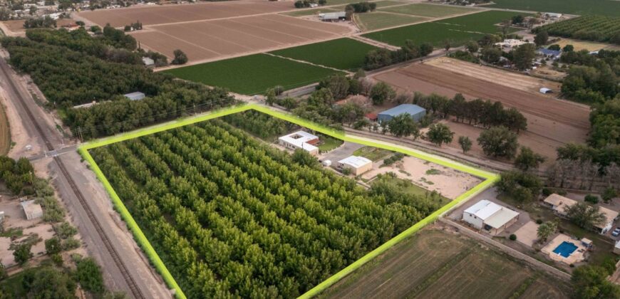 Custom-Built Adobe Home and Pecan Orchard on 6 Acres in Las Cruces, New Mexico