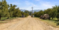 Pear Orchard & Vineyard For Sale – Mendocino County