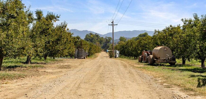 Pear Orchard & Vineyard For Sale – Mendocino County