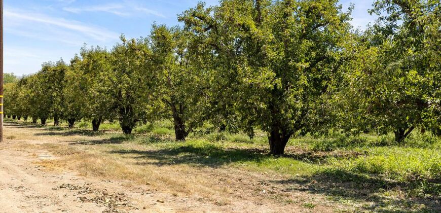 Pear Orchard & Vineyard For Sale – Mendocino County