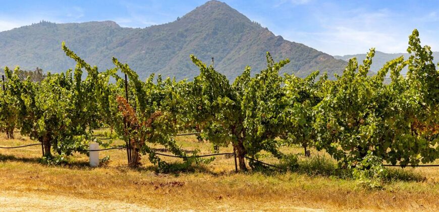 Pear Orchard & Vineyard For Sale – Mendocino County