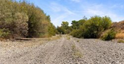 Pear Orchard & Vineyard For Sale – Mendocino County