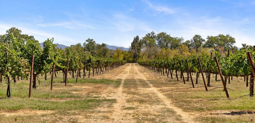 Pear Orchard & Vineyard For Sale – Mendocino County