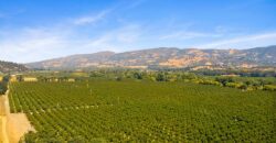 Pear Orchard & Vineyard For Sale – Mendocino County