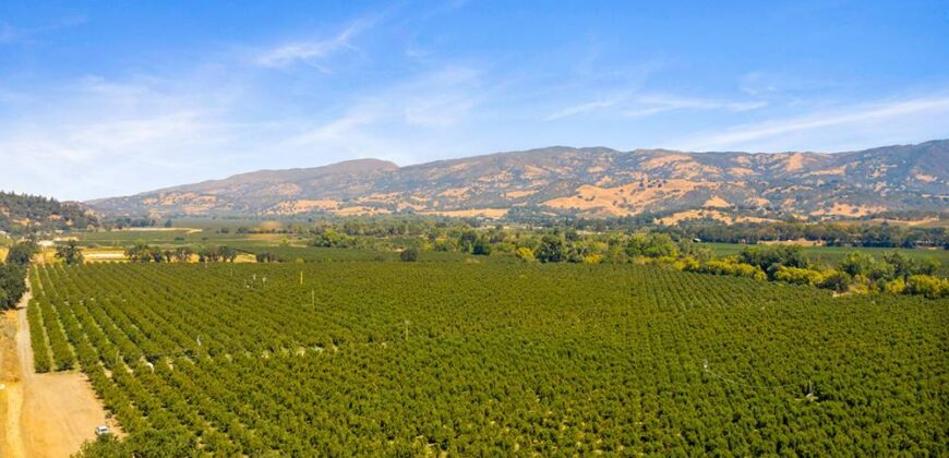 Pear Orchard & Vineyard For Sale – Mendocino County