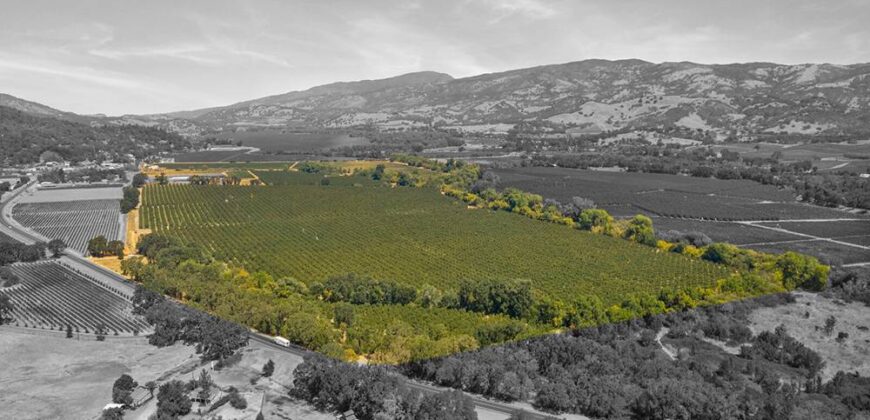 Pear Orchard & Vineyard For Sale – Mendocino County