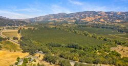 Pear Orchard & Vineyard For Sale – Mendocino County