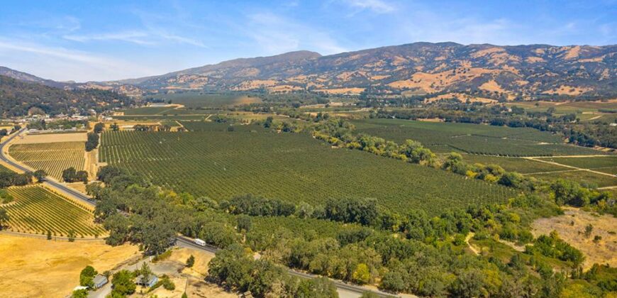 Pear Orchard & Vineyard For Sale – Mendocino County