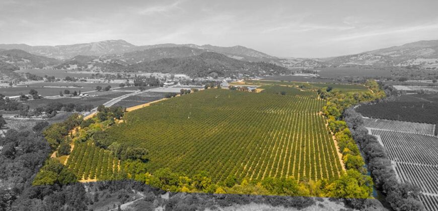 Pear Orchard & Vineyard For Sale – Mendocino County