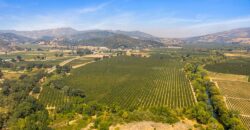 Pear Orchard & Vineyard For Sale – Mendocino County