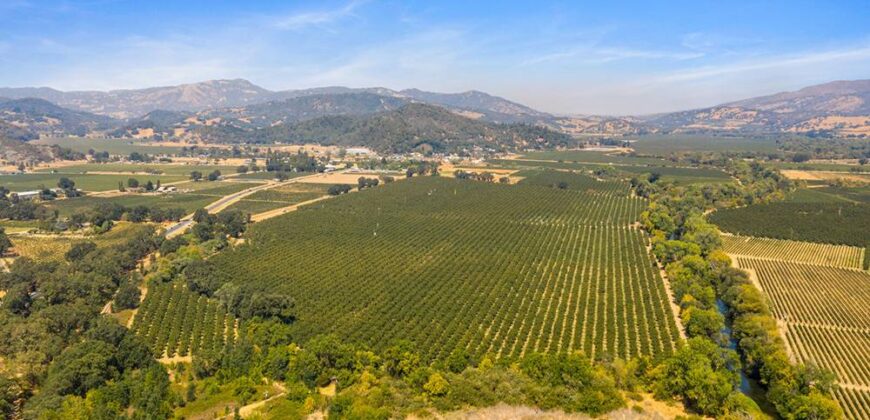 Pear Orchard & Vineyard For Sale – Mendocino County