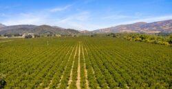 Pear Orchard & Vineyard For Sale – Mendocino County