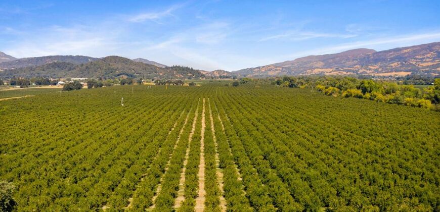 Pear Orchard & Vineyard For Sale – Mendocino County
