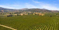 Pear Orchard & Vineyard For Sale – Mendocino County
